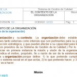 formato contexto de la organización.